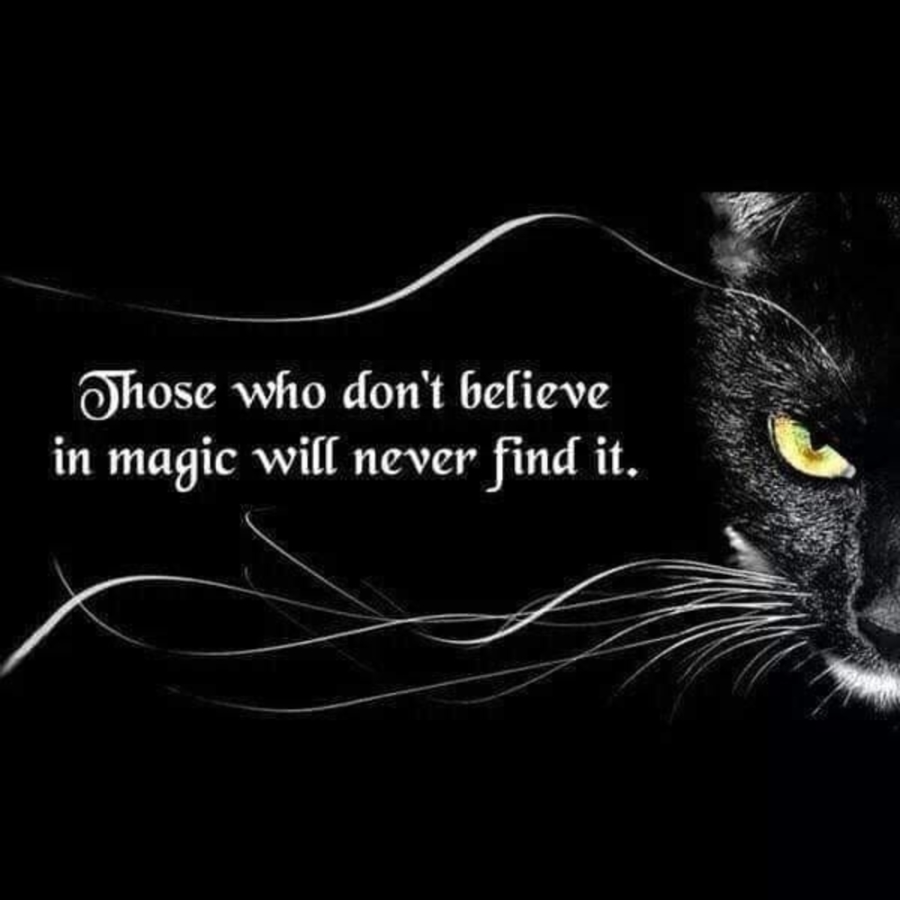 Meet your Posher, Tonya